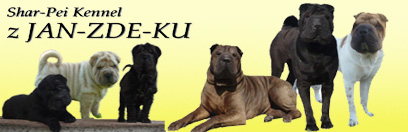 z JAN-ZDE-KU